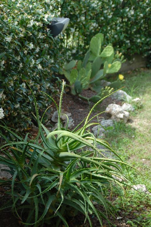 B&B Villa Luisa Casarza Ligure Εξωτερικό φωτογραφία